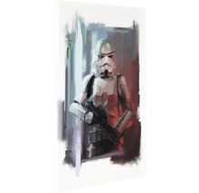 Schilderij van een Star Wars Stormtrooper met blaster