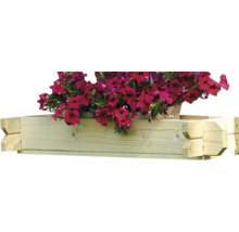 Houten bloembak met bloeiende petunia''s