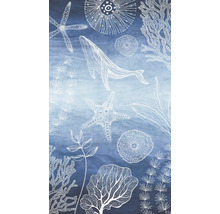 Grafiek met walvissen, zeesterren en algen op een blauwe achtergrond