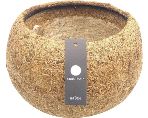 Kokosnootschaal als plantenbak met etiket