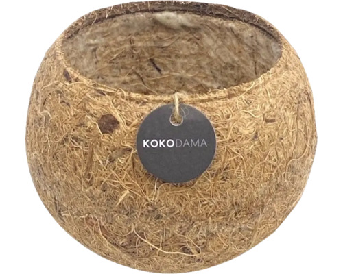 Kokosnootschaal als plantenbak met KOKODAMA label