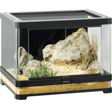 Terrarium met glas, stenen, planten en bodembedekking