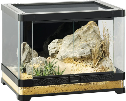 Terrarium met glas, stenen, planten en bodembedekking