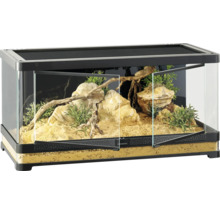 Terrarium met rotsen, hout en planten
