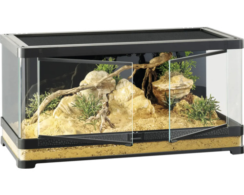 Terrarium met rotsen, hout en planten