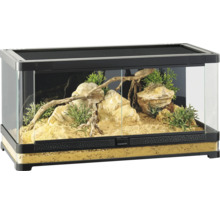 Ingericht glazen terrarium met stenen, zand, planten en takken