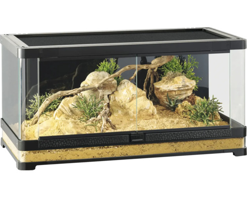 Ingericht glazen terrarium met stenen, zand, planten en takken