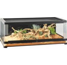 Terrarium met planten en wortels