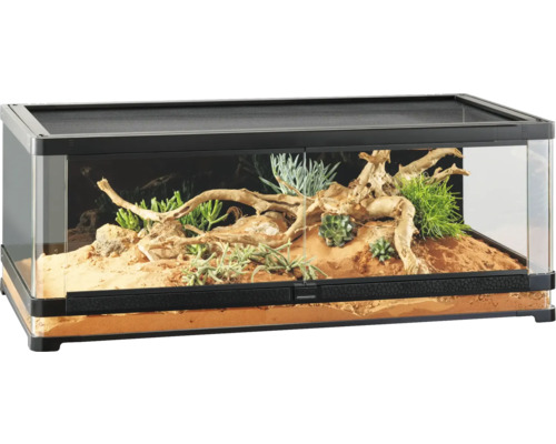 Terrarium met planten en wortels