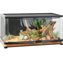 Terrarium met open glazen deuren, ingericht met planten en wortelhout.