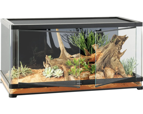 Terrarium met open glazen deuren, ingericht met planten en wortelhout.
