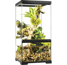 Ingericht terrarium met planten en watergedeelte.