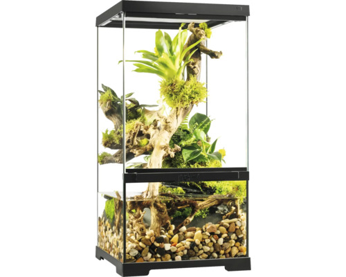 Ingericht terrarium met planten en watergedeelte.