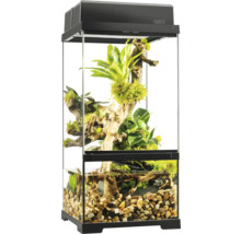 Ingericht terrarium met planten en stenen