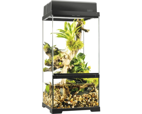 Ingericht terrarium met planten en stenen