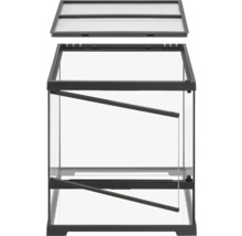 Glazen terrarium met gaasdeksel