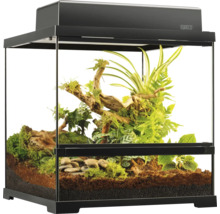 Terrarium met planten en decoratie