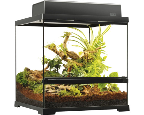 Terrarium met planten en decoratie