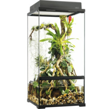 Terrarium met planten en stenen voor dierenverblijf
