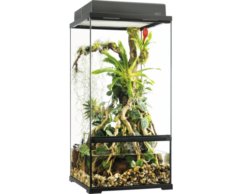 Terrarium met planten en stenen voor dierenverblijf