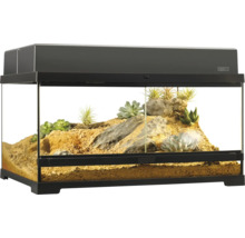 Ingericht terrarium met planten en stenen