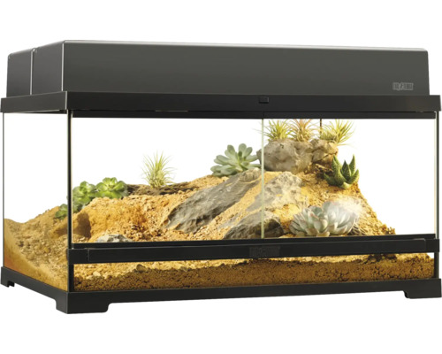 Ingericht terrarium met planten en stenen