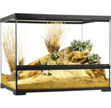 Terrarium met planten en decoratie