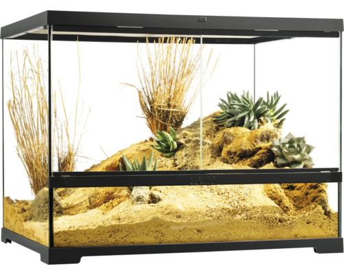 Terrarium met planten en decoratie