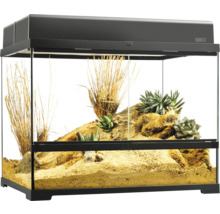 Ingericht terrarium voor woestijnbewoners met planten en zand