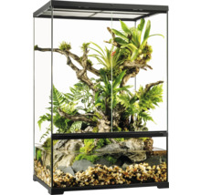 Glazen terrarium met planten, hout en water voor reptielen en amfibieën
