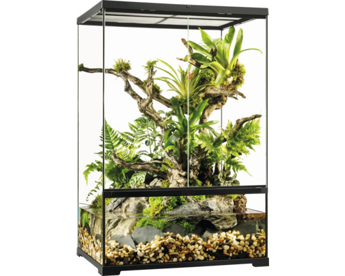 Glazen terrarium met planten, hout en water voor reptielen en amfibieën