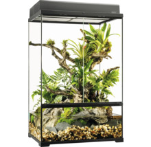 Ingericht terrarium met planten en watergedeelte