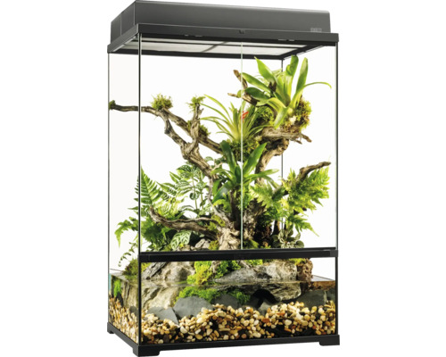 Ingericht terrarium met planten en watergedeelte