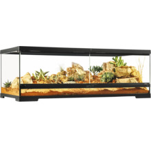 Terrarium met stenen en planten