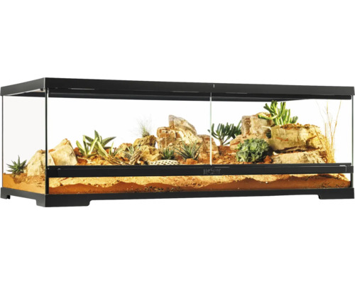 Terrarium met stenen en planten