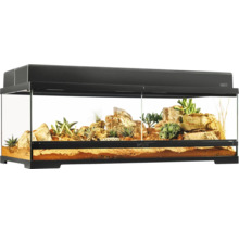 Terrarium met woestijnlandschap, stenen en vetplanten