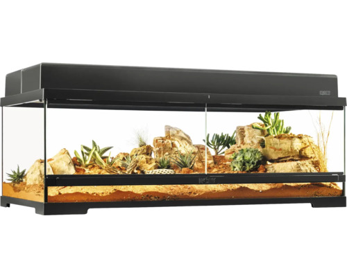 Terrarium met woestijnlandschap, stenen en vetplanten