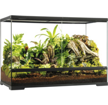 Terrarium met beplanting en bodembedekking voor reptielen en amfibieën