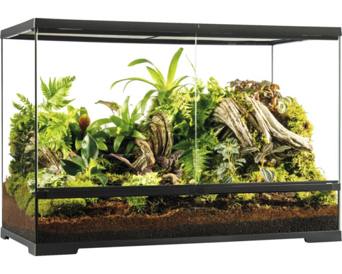 Terrarium met beplanting en bodembedekking voor reptielen en amfibieën