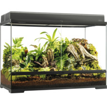 Glazen terrarium met planten en bodembedekking voor reptielen en amfibieën