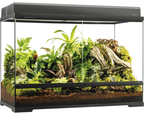 Glazen terrarium met planten en bodembedekking voor reptielen en amfibieën