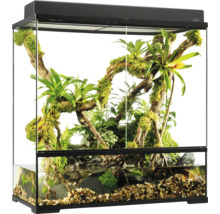 Ingericht terrarium met planten, water en stenen