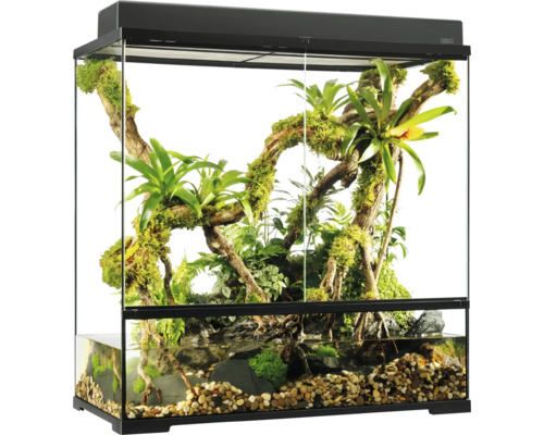 Ingericht terrarium met planten, water en stenen
