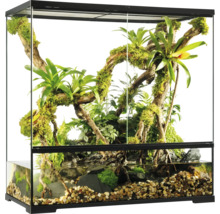 Ingericht aquarium met planten, stenen en water voor reptielen en amfibieën