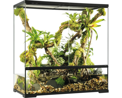Ingericht aquarium met planten, stenen en water voor reptielen en amfibieën