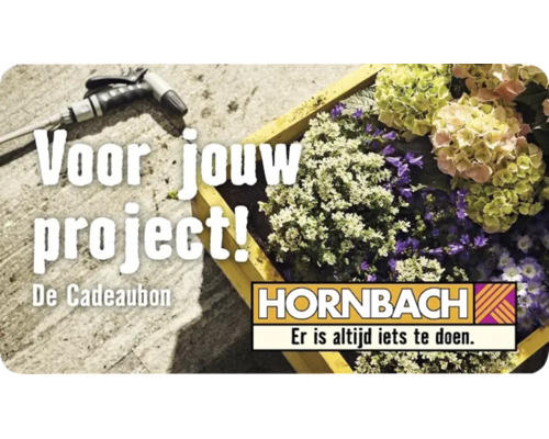 Hornbach Logo. Hornbach cadeaubon voor jouw project met een houten plantenbak vol bloemen en een tuinspuit op beton.