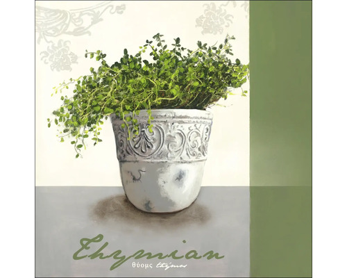 Schilderij van tijm in een sierlijke pot