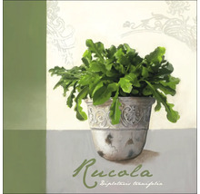 Schilderij van rucola in een sierlijke pot