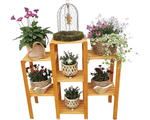 Houten rek met planten in potten en decoratieve kooi