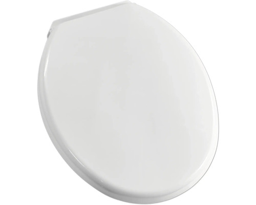 Toiletdeksel van kunststof